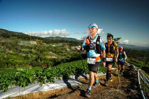 BIB: 9230
                            <button type="button" onclick="openModal(19123093)" class="btn btn-primary btn-sm float-right btn-popup" data-toggle="modal" data-target=".modal-high-quality">
                        <i class="fas fa-shopping-cart"></i> Add to Cart
                    </button>
                                            <button type="button" onclick="isThisMe(19123093, true)" class="btn btn-success btn-sm float-right btn-popup btn-isme hidden" data-toggle="tooltip" data-placement="bottom" title="นี่คือรูปของคุณใช่ไหม คลิกที่นี่เพื่อเอาเข้าอัลบั้ม">
                        <i class="fas fa-plus"></i> Add to album
                    </button>
                    <button type="button" onclick="isThisMe(19123093, false)" class="btn btn-warning btn-sm float-right btn-popup btn-isnotme hidden">
                        <i class="fas fa-ban"></i> Remove from album
                    </button>